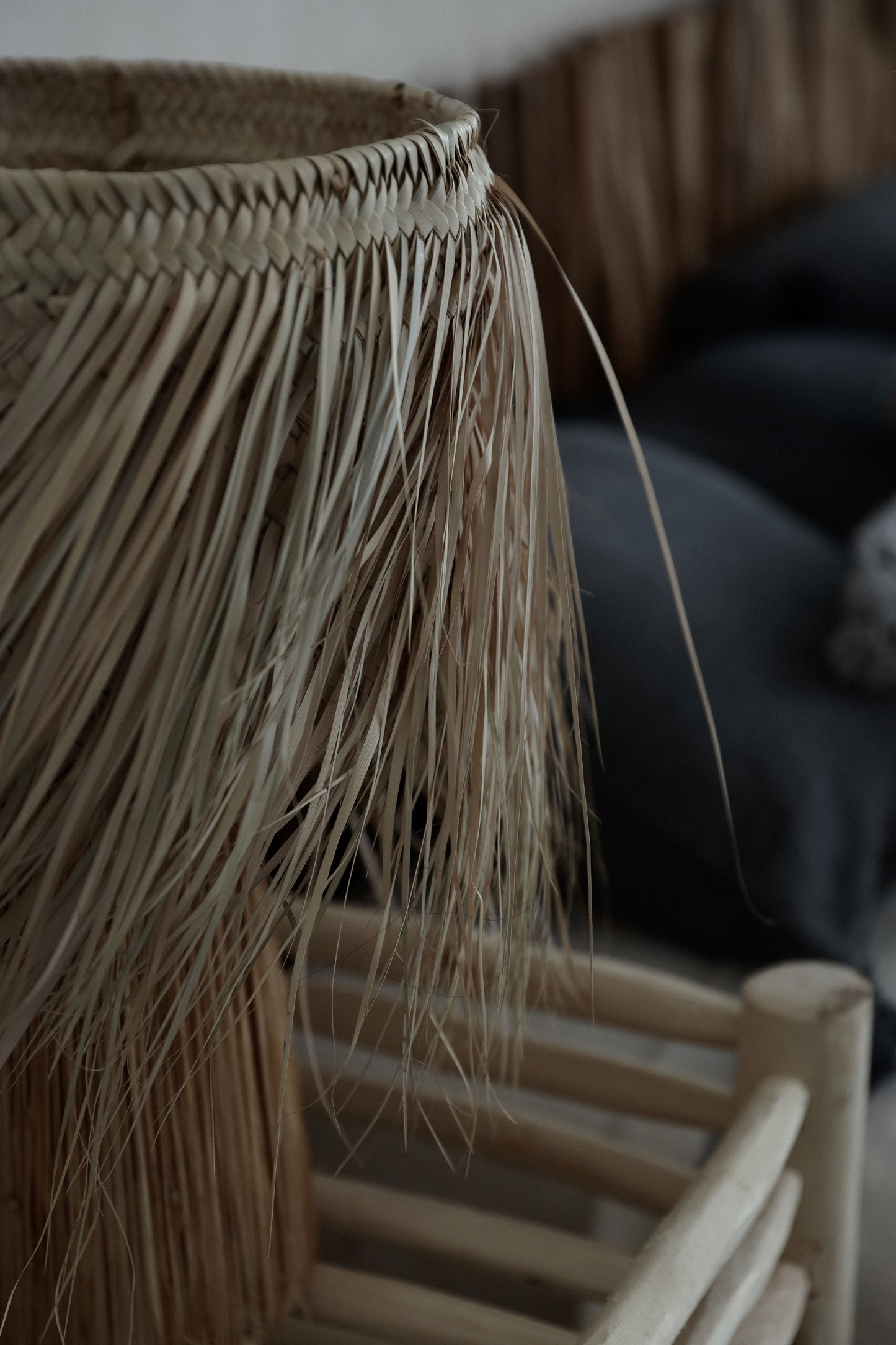 מנורת לילה פראית