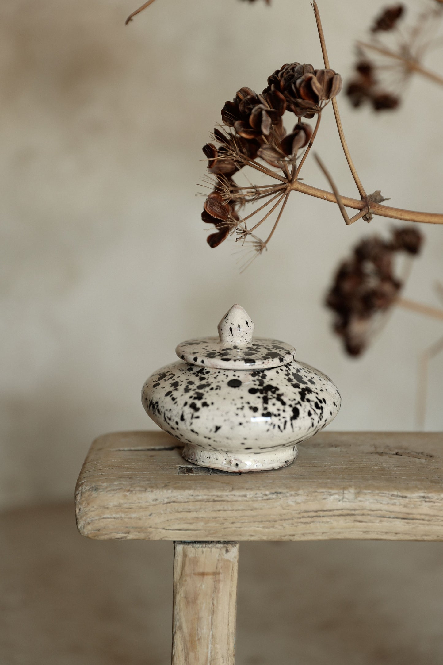 מיני קופסת סוכר | ספלאש