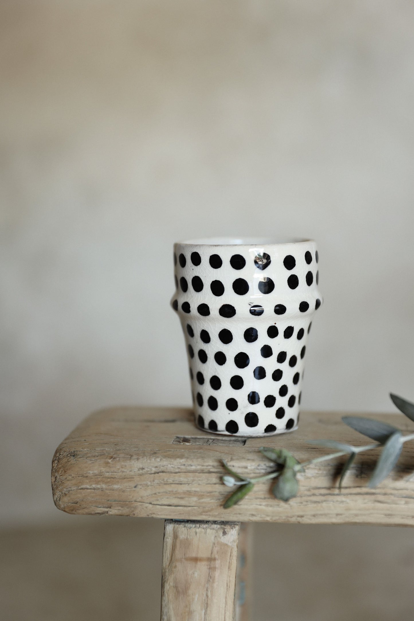 כוס טנג'יר נקודות | שחור