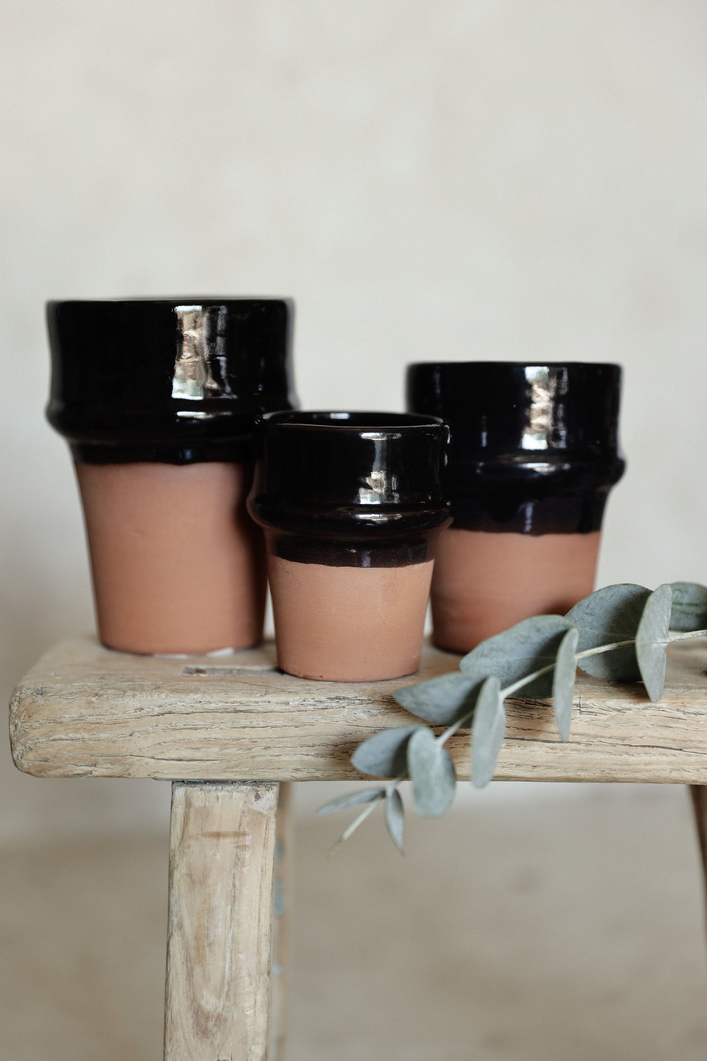 כוס טרקוטה | שחור