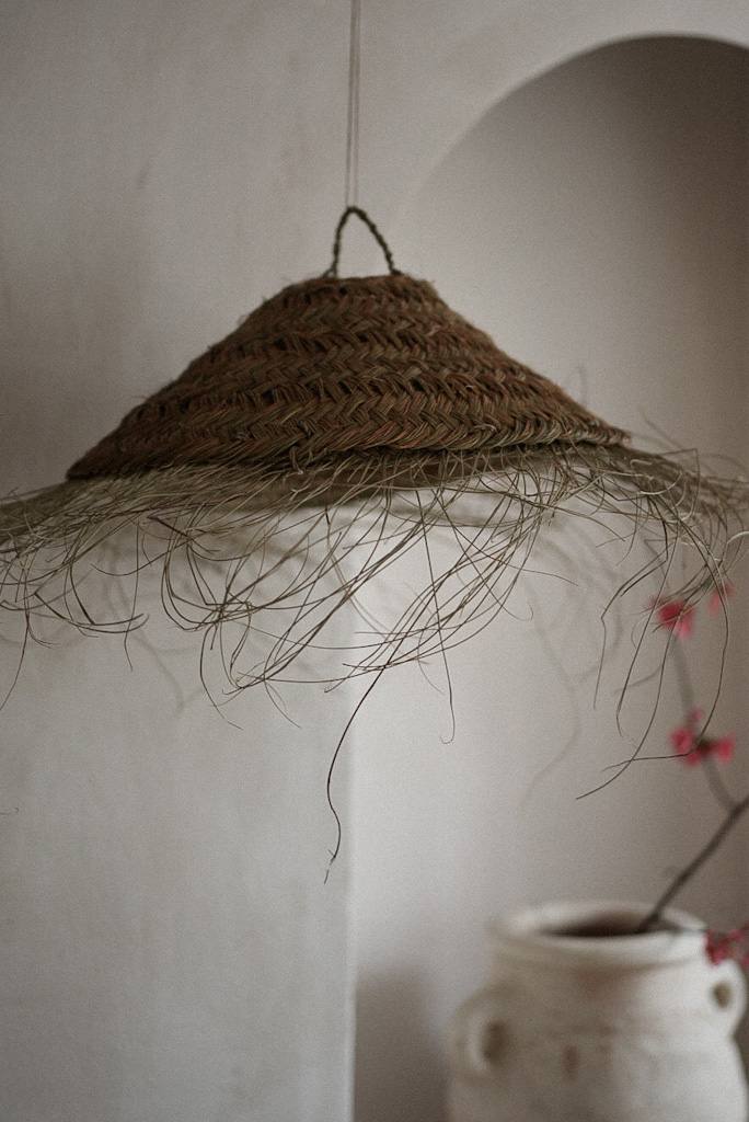 אהיל קש צלחת פראי