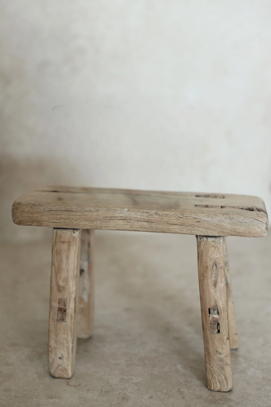 שרפרף מיני מעץ בוקיצה