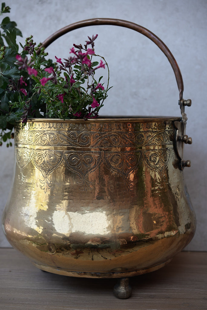 דלי מעוטר | נחושת