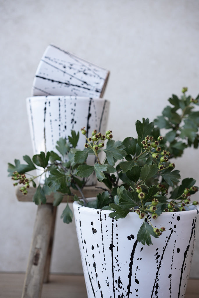 בית עציץ | ספלאש