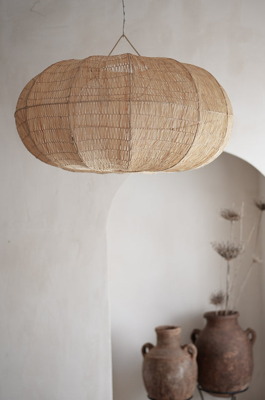 אהיל רפיה פחוס