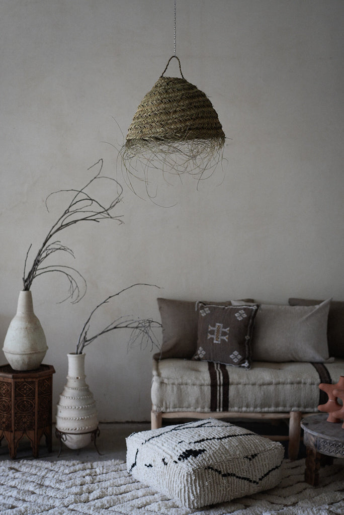 אהיל עגול פרוע