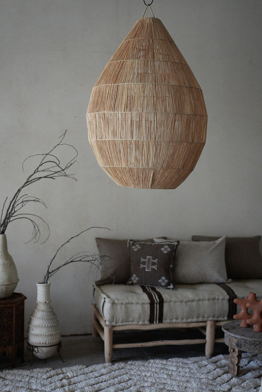 אהיל רפיה ענק