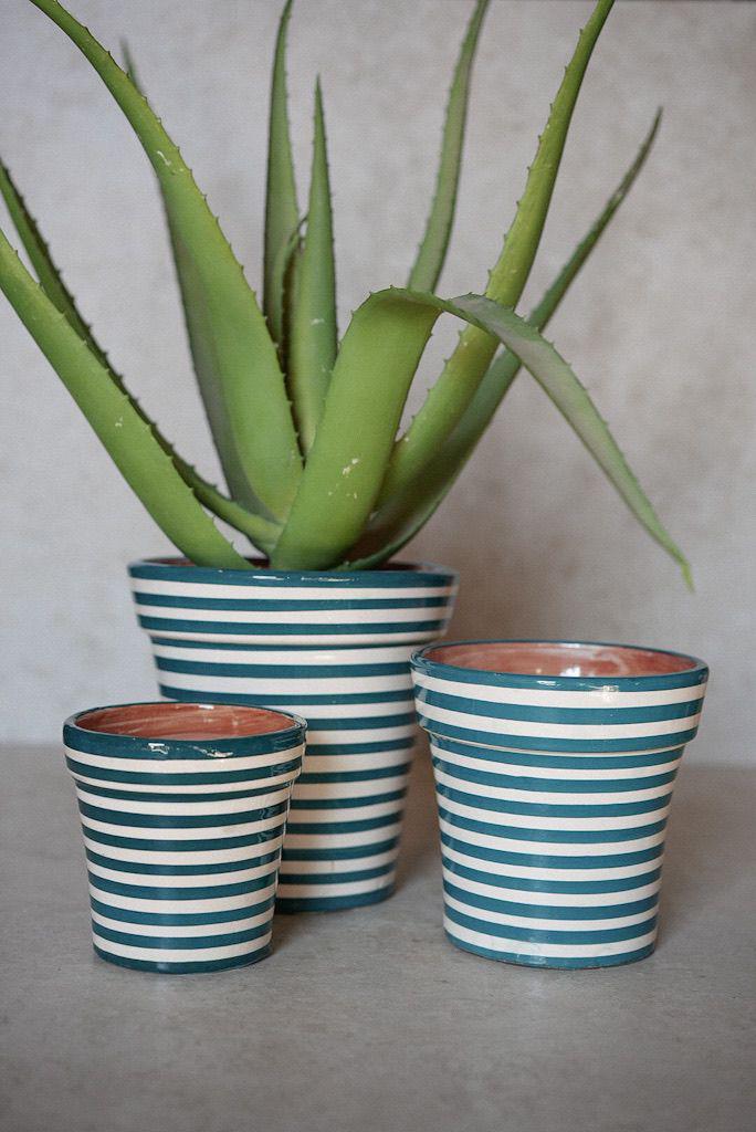 בית עציץ פסים | טורקיז