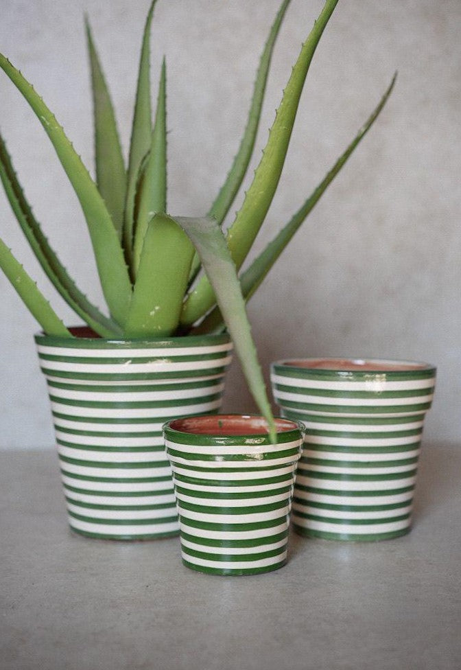 בית עציץ פסים | ירוק