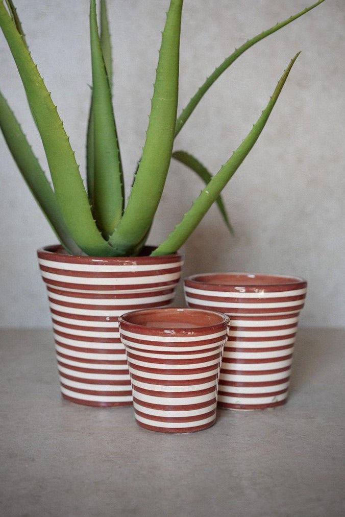 בית עציץ פסים | חום