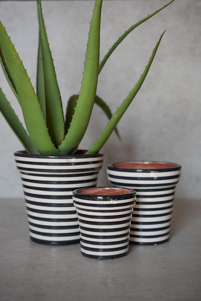 בית עציץ פסים | שחור