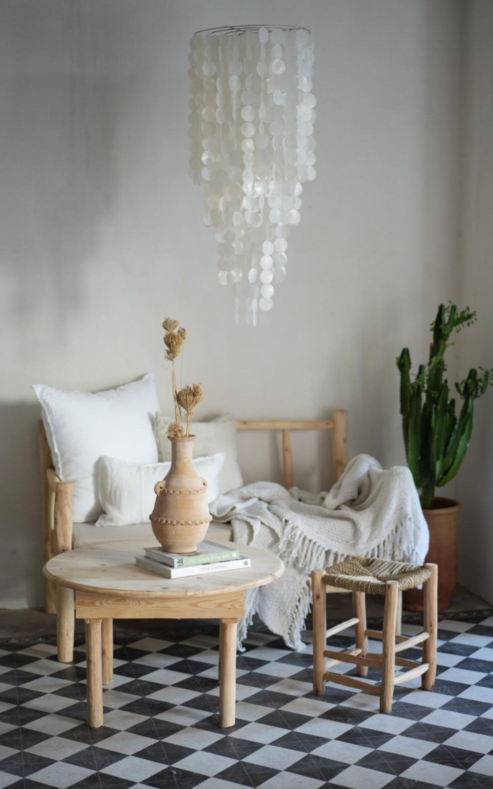 אהיל צדפים דקורטיבי