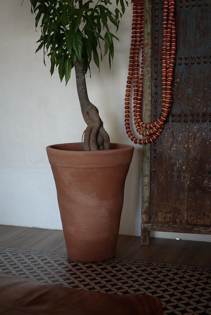 כד חרס | אדנית