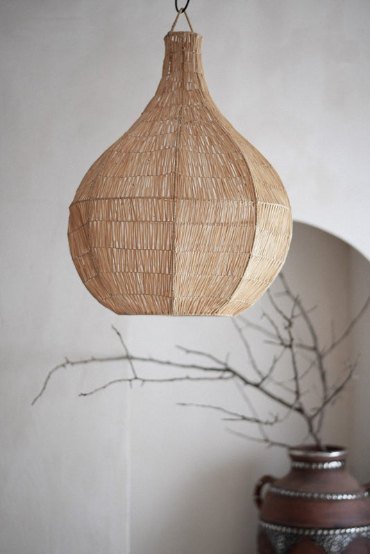 אהיל רפיה | טיפה