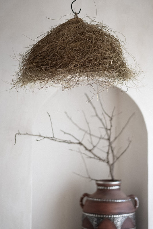 אהיל קש קן לציפור