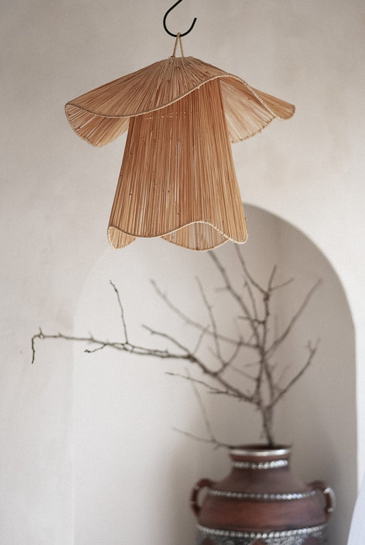 אהיל רפיה | פטריה