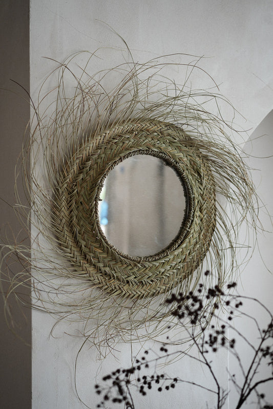 מראת קש פראית