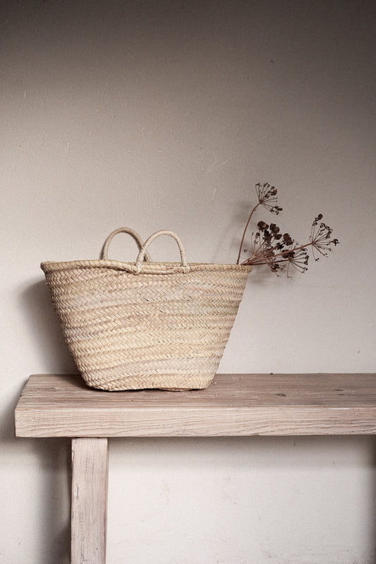 סל קש בייסיק