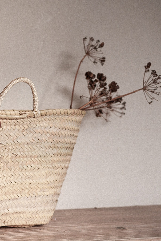 סל קש בייסיק