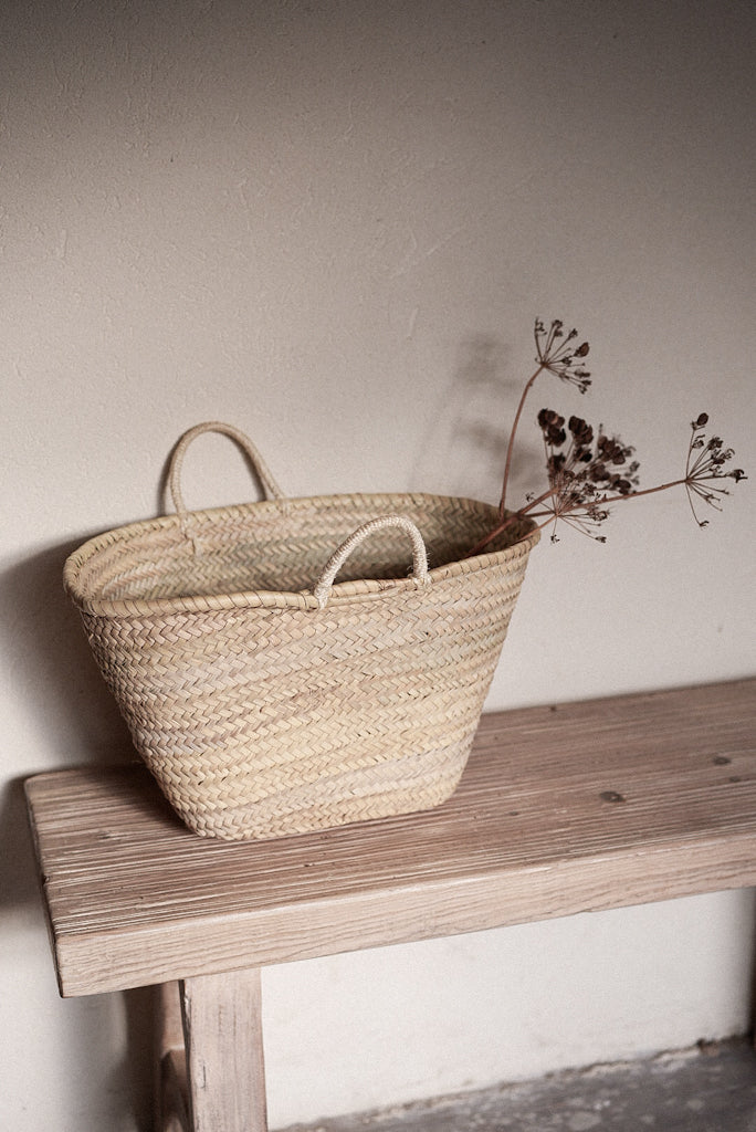 סל קש בייסיק