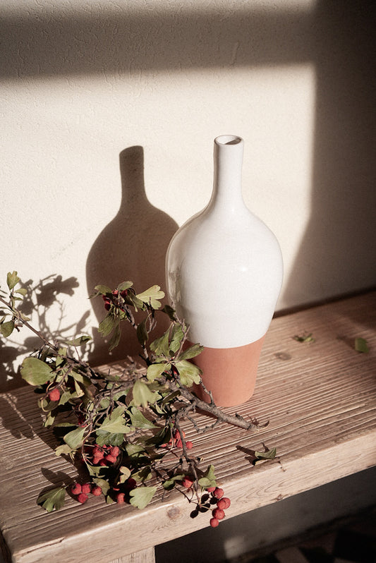 ואזה בקבוק | טרקוטה