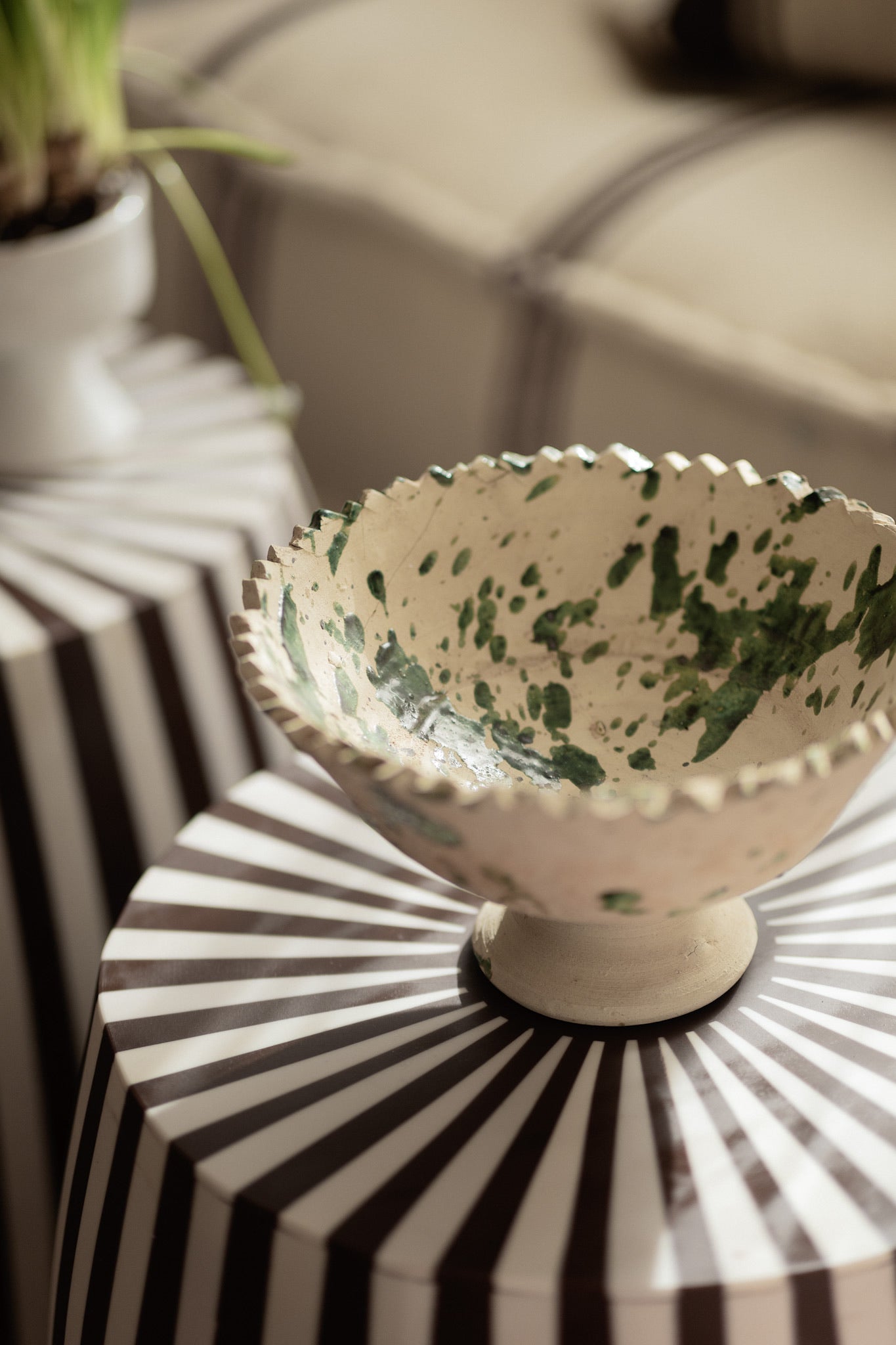 קערה על רגל פרא | ירוקה