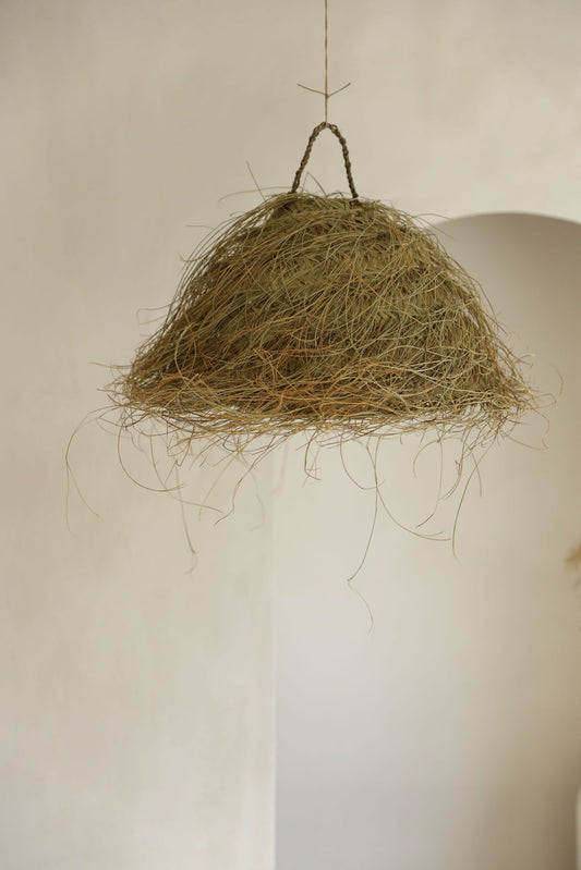 אהיל קש קן לציפור